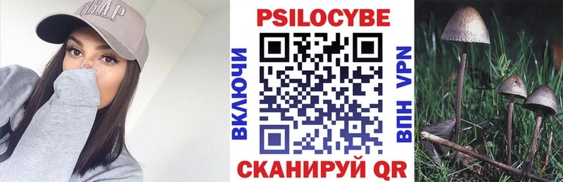 Псилоцибиновые грибы мицелий Элиста